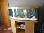 Mooie  groote Juwel aquarium 450l, Dieren en Toebehoren, Gebruikt, Ophalen, Gevuld zoetwateraquarium