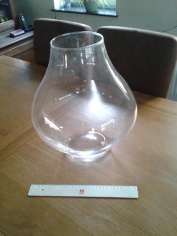 Glazen terrarium beschikbaar voor biedingen