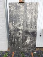 grote zwart-witte vintage fotolijst | Meurop, Ophalen, Gebruikt, Foto, Natuur