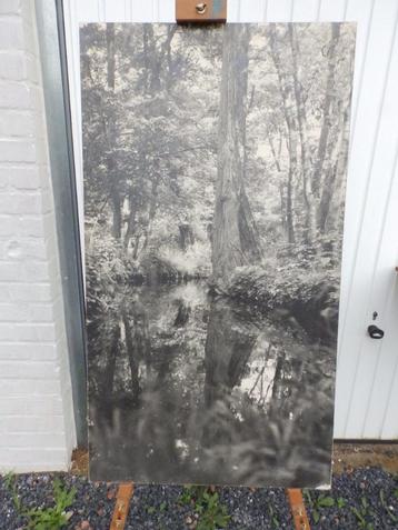 grote zwart-witte vintage fotolijst | Meurop beschikbaar voor biedingen
