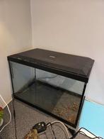 aquarium + toebehoren, Dieren en Toebehoren, Vissen | Aquaria en Toebehoren, Ophalen, Zo goed als nieuw, Leeg aquarium