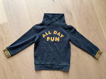 Trui / pull maat 116 van Hampton Bays Kids beschikbaar voor biedingen