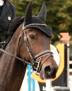 Halve stal, Dieren en Toebehoren