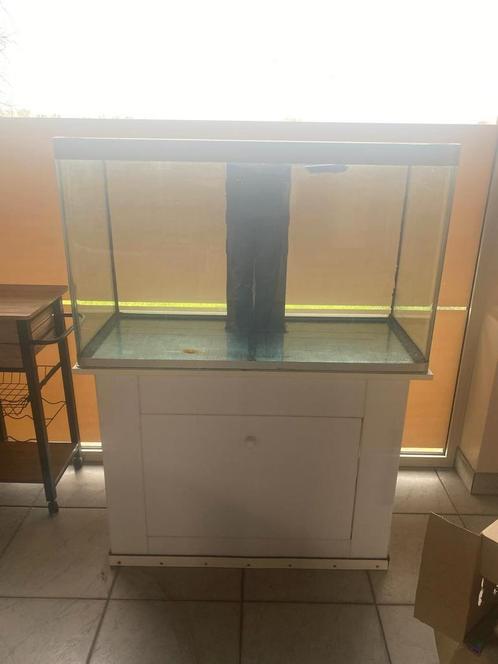Aquarium B104 D45 H62, Dieren en Toebehoren, Vissen | Aquaria en Toebehoren, Zo goed als nieuw, Ophalen of Verzenden