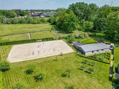 Trainingsstal/ amazone / ruiter, Dieren en Toebehoren, Stalling en Weidegang, Stalling