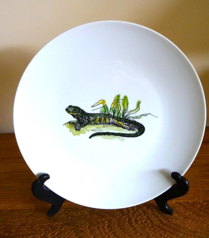 Limited Edition 1973, nr. 6/25, Zoo Antwerpen Varanus Varius, Antiek en Kunst, Antiek | Porselein, Ophalen of Verzenden