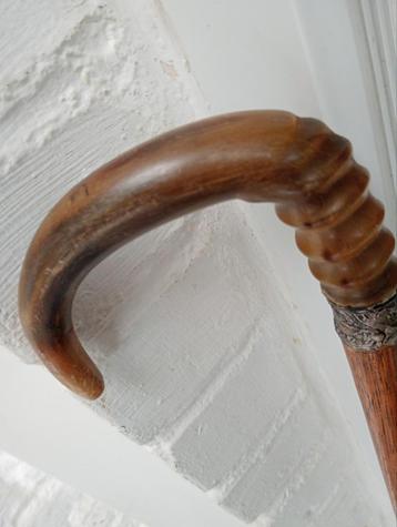 Oude hoornstok  beschikbaar voor biedingen