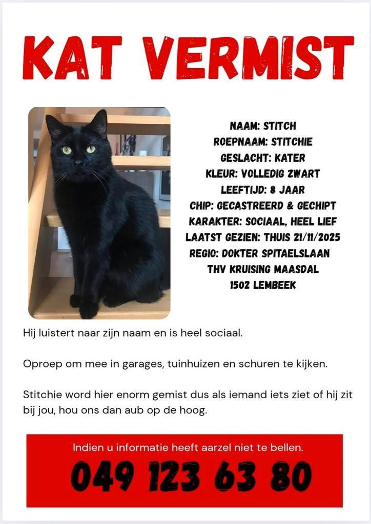 GEZOCHT!, Dieren en Toebehoren, Vermiste en Gevonden Dieren