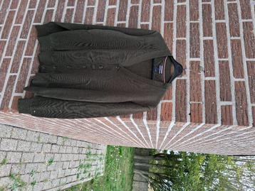Heren Vest Tommy Hilfiger Maat L  beschikbaar voor biedingen