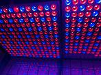 UV Kweeklampen Terrarium-Planten, Ophalen of Verzenden, Zo goed als nieuw