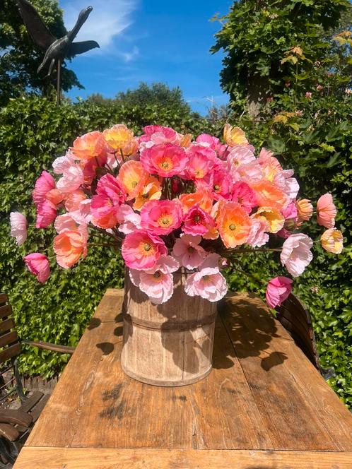 Zijden papaver, Huis en Inrichting, Woonaccessoires | Kunstplanten en Kunstbloemen, Nieuw, Ophalen