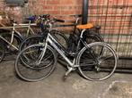 Venturelli, Fietsen en Brommers, Fietsen | Dames | Damesfietsen, Gebruikt, Versnellingen, 50 tot 53 cm, Ophalen