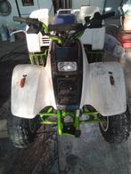 Quad, Motoren, Quads en Trikes