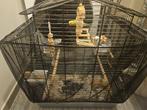 Te koop, Dieren en Toebehoren
