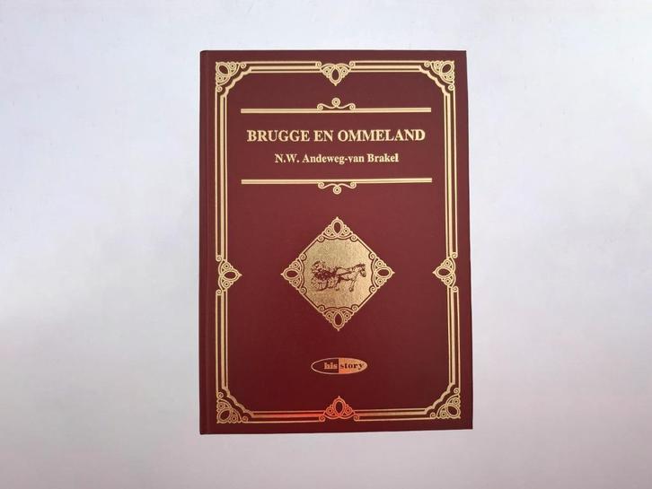 Brugge en ommeland, Boeken, Geschiedenis | Stad en Regio, Zo goed als nieuw, Ophalen of Verzenden