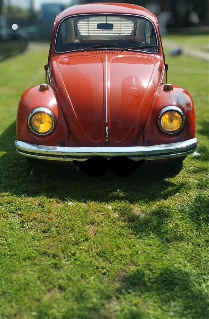 VW Coccinelle 1300 L (1971), Auto's, Oldtimers, Particulier, Ophalen