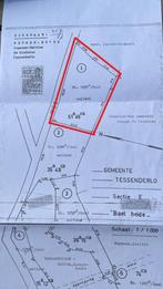 Landbouwgrond/weide te koop, Immo, Gronden en Bouwgronden, Tessenderlo-Ham, Verkoop zonder makelaar, 1500 m² of meer