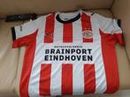 Psv 2025 2026 maat L, Maat L, Ophalen of Verzenden, Nieuw