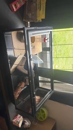 Groot hamsterkooi + alle toebehoren, Enlèvement, Comme neuf, Cage, Hamster
