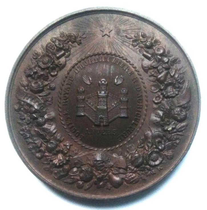 médaille Anvers société royale d'horticulture& d'agriculture, Timbres & Monnaies, Pièces & Médailles, Bronze, Enlèvement ou Envoi
