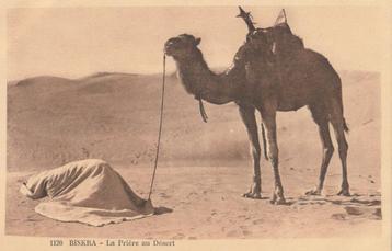 KAMEEL en DRIJVER in BISKRA -  Woestijngebed !, Envoi, Non affranchie, Autres