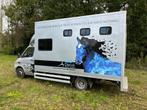 Paardenvrachtwagen Mercedes Sprinter, Auto's, Stof, 2674 cc, Parkeercamera, Particulier