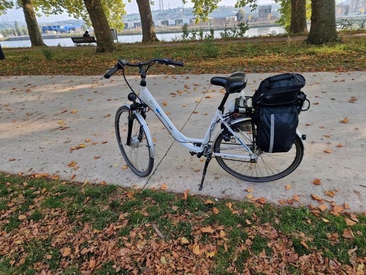 Beta formula, Fietsen en Brommers, Elektrische fietsen, Gebruikt, Ophalen