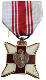 medaille rode kruis, Postzegels en Munten, Ophalen of Verzenden
