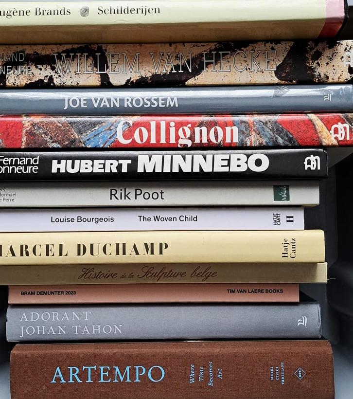 interessante kunstboeken o.a. Tuymans, Rinus Van De Velde..., Boeken, Kunst en Cultuur | Beeldend, Zo goed als nieuw, Schilder- en Tekenkunst