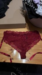 Slipje xl, Kleding | Dames, Ondergoed en Lingerie, Verzenden
