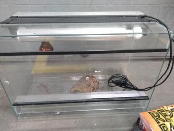 terrarium beschikbaar voor biedingen