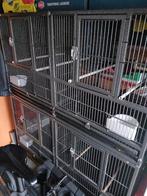 A vendre, Animaux & Accessoires, Oiseaux | Cages & Volières, Enlèvement