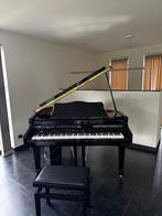 Cool digital vleugel piano, Musique & Instruments, Pianos, Brillant, Enlèvement, Utilisé, Piano