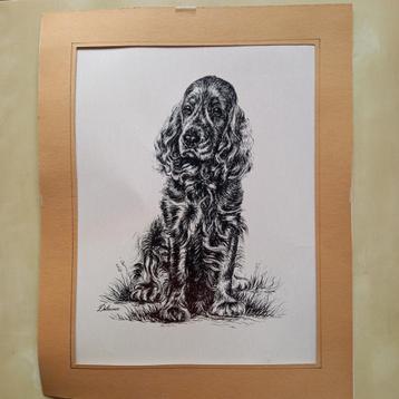 Hond pentekening in passe-partout, getekend Delacoux beschikbaar voor biedingen