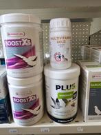 Multivitamine Gold 250ml ( extra geconcentreerd ) Giantel, Dieren en Toebehoren, Ophalen of Verzenden