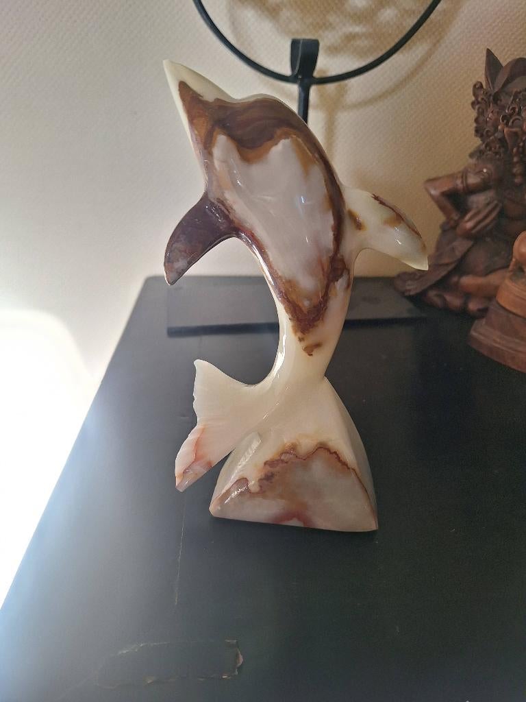 Opaalsteendolfijn, Ophalen