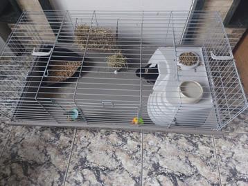 Cage avec lapin et accessoires 