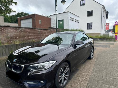 BMW 218 D, Auto's, BMW, Particulier, Airconditioning, Diesel, Euro 6, 3 deurs, Handgeschakeld, Velours, Ophalen