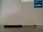 GASDRUKVEERSET ACHTER Clio III (BR / CR) (|8200299546|), Gebruikt, Renault