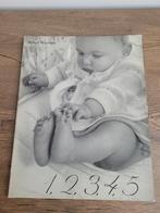 Doisneau en Plecy 1, 2, 3, 4, 5, Boeken, Kunst en Cultuur | Fotografie en Design, Ophalen of Verzenden