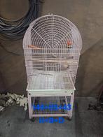 Vogelkooi, Dieren en Toebehoren, Vogels | Hokken en Kooien, Ophalen, Zo goed als nieuw, Vogelkooi