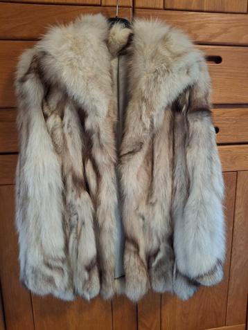 Bontjas beschikbaar voor biedingen