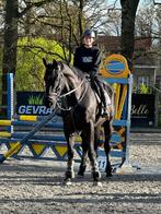 Super toffe merrie met potentie, Dieren en Toebehoren, Paarden, Merrie, Springpaard, 175 cm of meer, Gechipt