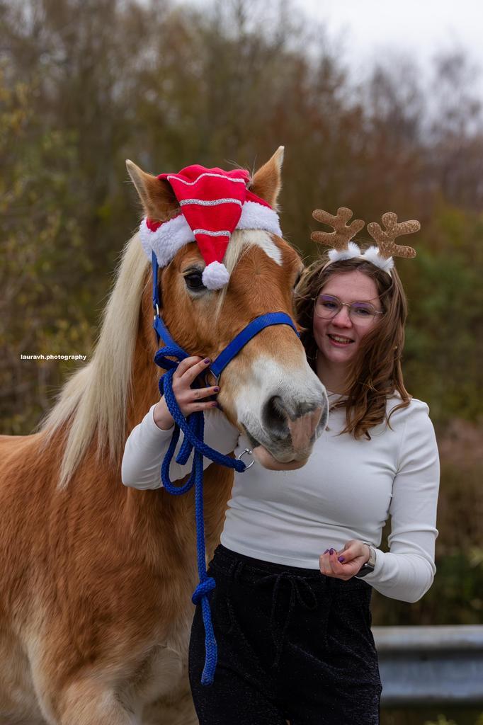 17 jarige haflinger te koop, Dieren en Toebehoren, Paarden, Merrie, Minder dan 160 cm, 11 jaar of ouder, Gechipt, Ontwormd, Ingeënt