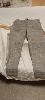 pantalon, Vêtements | Hommes, Neuf, Autres couleurs, Autres, Enlèvement