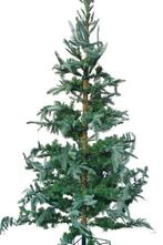 Nobilis kerstboom 2,40 cm, Enlèvement ou Envoi, Neuf