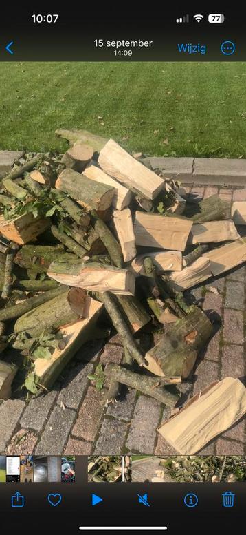 Brandhout droog of nat promo beschikbaar voor biedingen