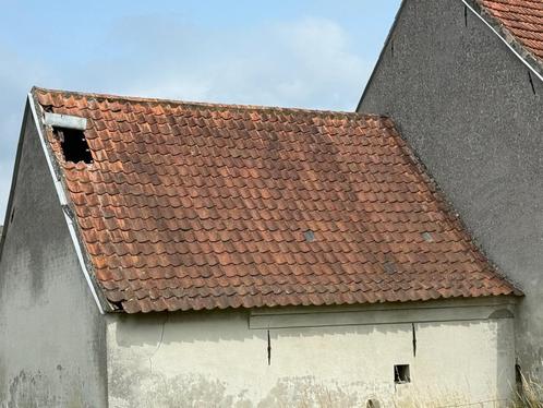 OUDE BOOMSE DAKPANNEN EN NOKKEN, Doe-het-zelf en Bouw, Dakpannen en Dakbedekking, Gebruikt, Dakpannen, Steen of Klei, Rood, 15 m² of meer