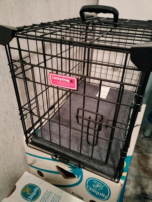Transport box, Dieren en Toebehoren, Hondenbenches, Zo goed als nieuw, Ophalen of Verzenden