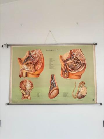 Vintage autonomie kaart op linnen beschikbaar voor biedingen
